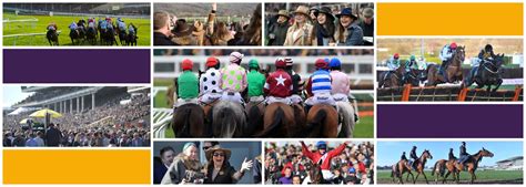 cheltenham festival